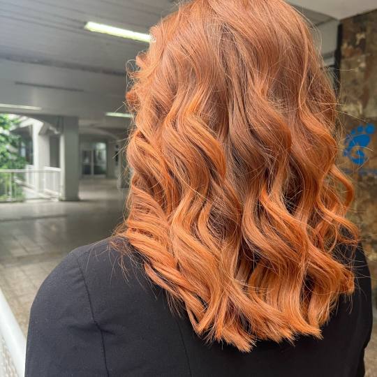 La Fée #beograd Farbanje kose Farbanje cele kose - duga kosa