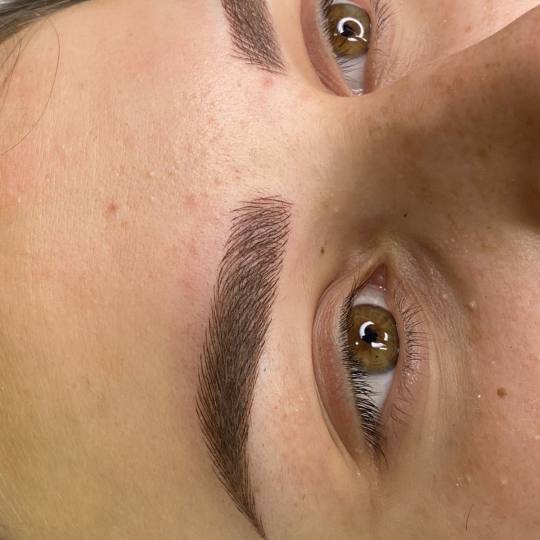Esthetique Privé #beograd Trajna šminka Trajna šminka obrva - PHI BROWS MICROBLADING