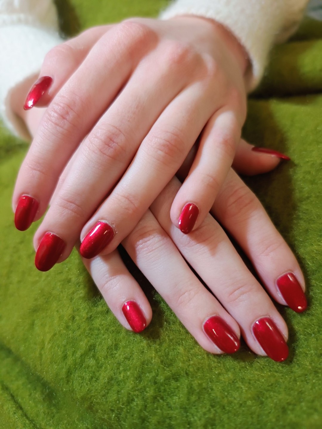 Salončić, Beograd LookBook