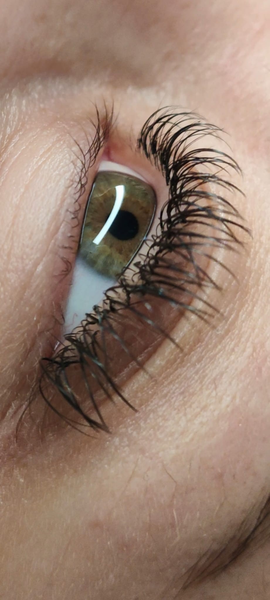 Studio Muse #nis Nadogradnja trepavica Nadogradnja svilenih trepavica - 1 na 1