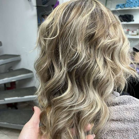 Royal cut - No Limit #beograd