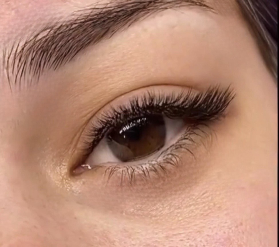 Brankica beauty artist #beograd Nadogradnja trepavica Nadogradnja svilenih trepavica 2D