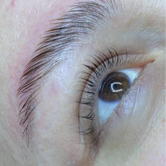 Mademoiselle Beauty #beograd Trepavice Lash lift + farbanje trepavica