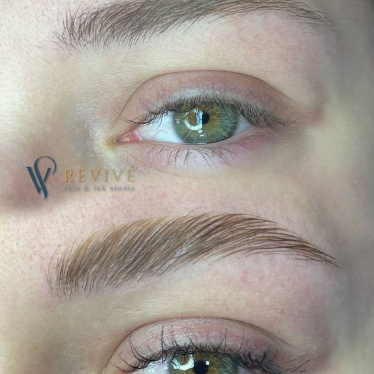 Revive - Skin & ink #beograd Obrve Lash lift + Brow lift + farbanje gratis