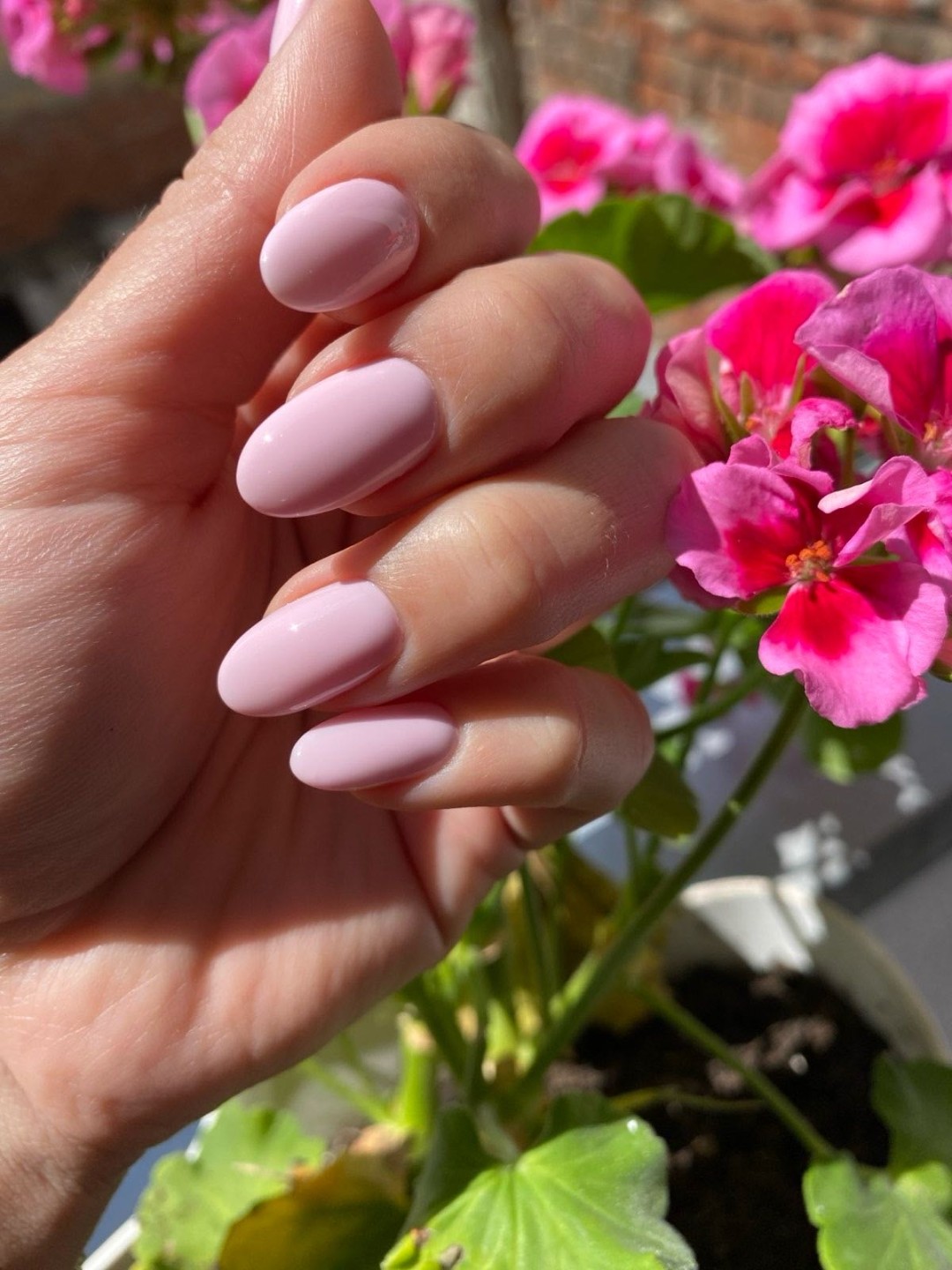 D&D Beauty Center #beograd Izlivanje noktiju Korekcija izlivanja noktiju gelom - M dužina