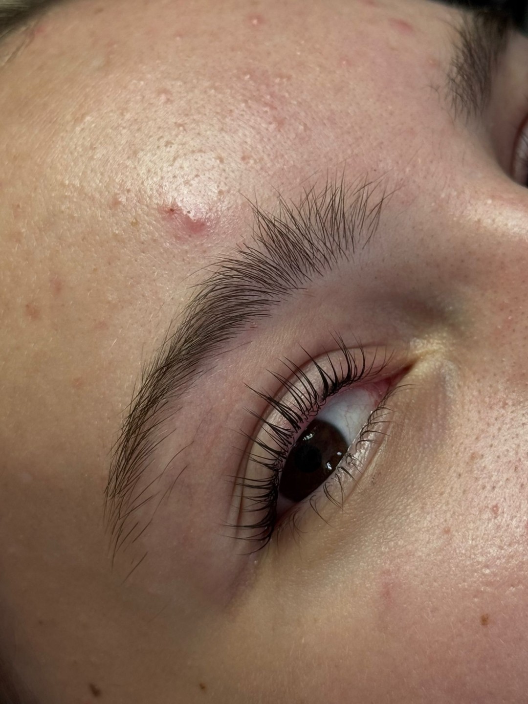 Studio 21 #beograd Trepavice Lash lift + farbanje trepavica