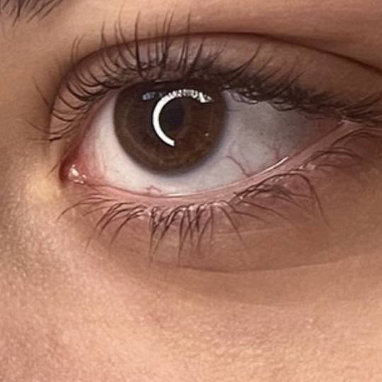 Kod Mačeta #beograd Trepavice Lash lift plus keratin plus farbanje ️