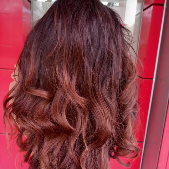 Royal cut - No Limit #beograd