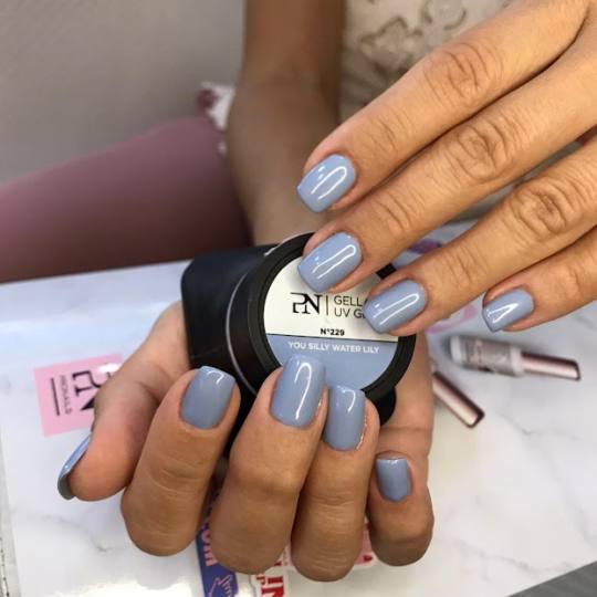 Pronails Premium - Belvil #beograd