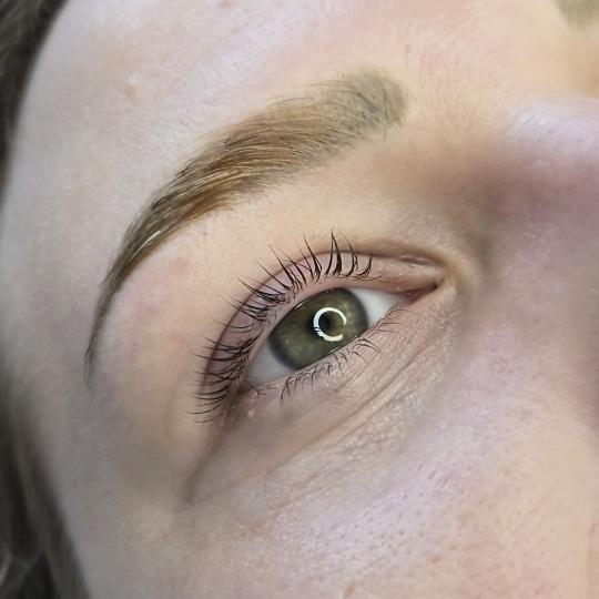 Oladoria Rituals #novisad Obrve Lash lift + Brow lift