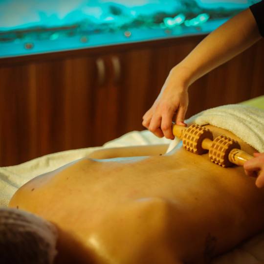 PJ Health & Beauty Center #beograd Anticelulit masaža Maderoterapija leđa relax - 30 minuta