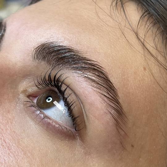 Studio 21 #beograd Trepavice Lash lift + Brow lift