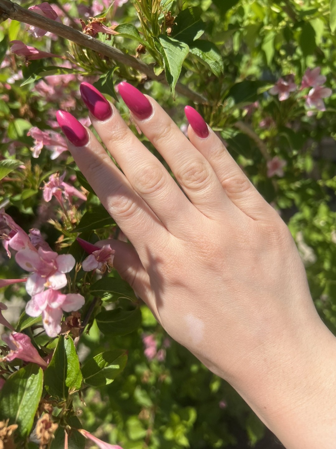 Grkinja Beauty Studio #krusevac Izlivanje noktiju Izlivanje noktiju gelom - dugi nokti