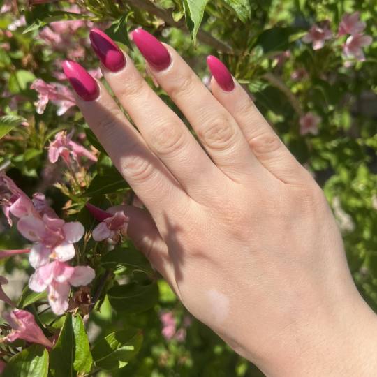 Grkinja Beauty Studio #krusevac Izlivanje noktiju Izlivanje noktiju gelom - dugi nokti
