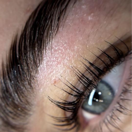 Alexandria Brow&Beauty lounge #beograd Trepavice Obuka za lash lift i brow lift - 1 dan