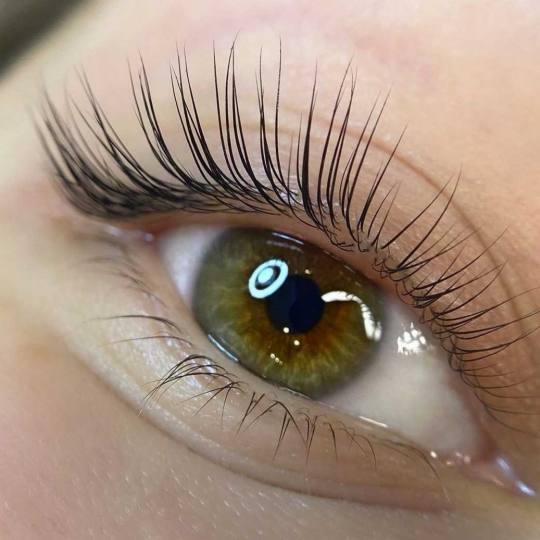 Right Beauty #beograd Trepavice Lash lift (bez farbanja)