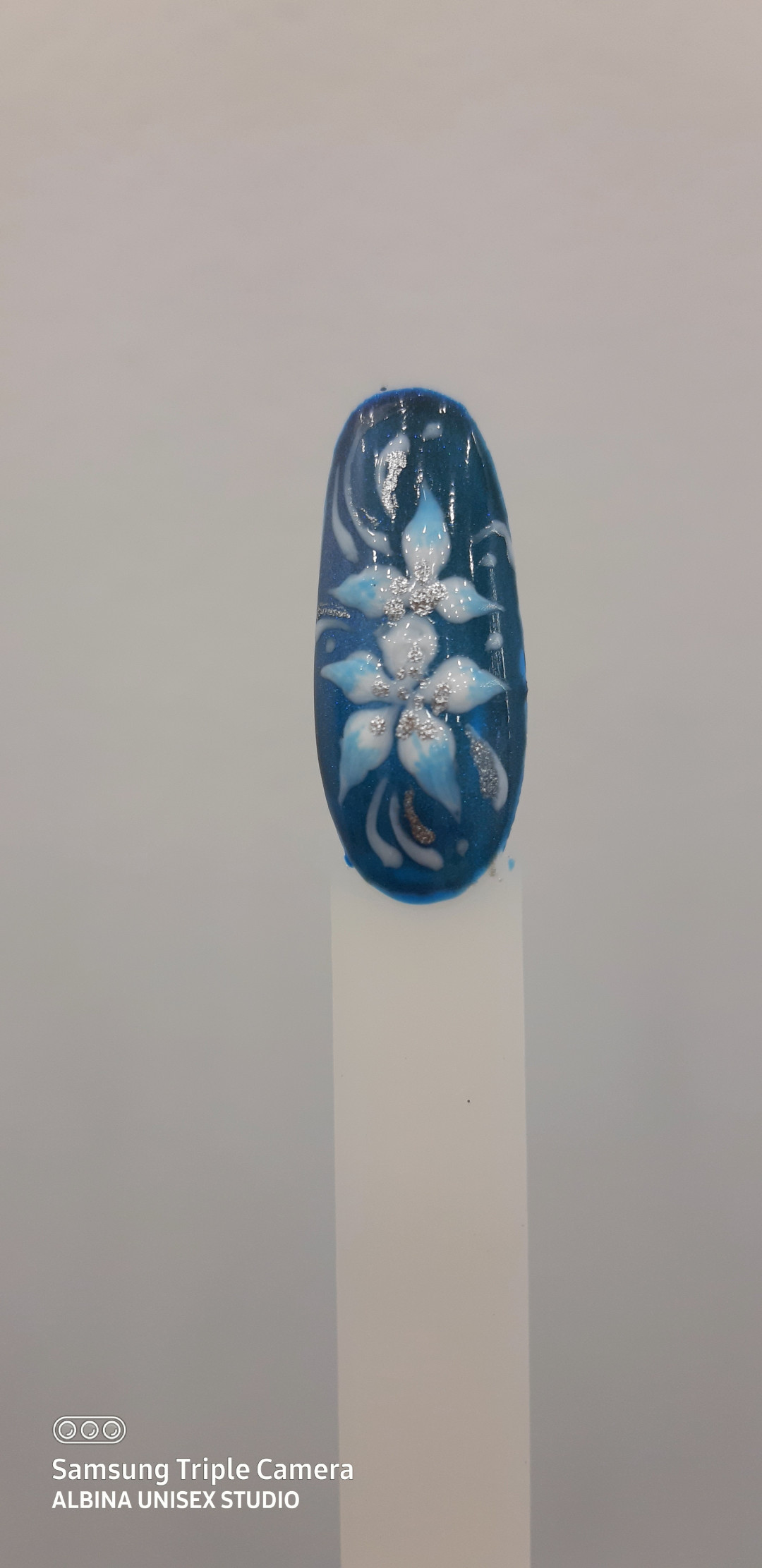 Albina Unisex Studio Lepote #temerin Ukrašavanje noktiju Nail art - 1 nokat