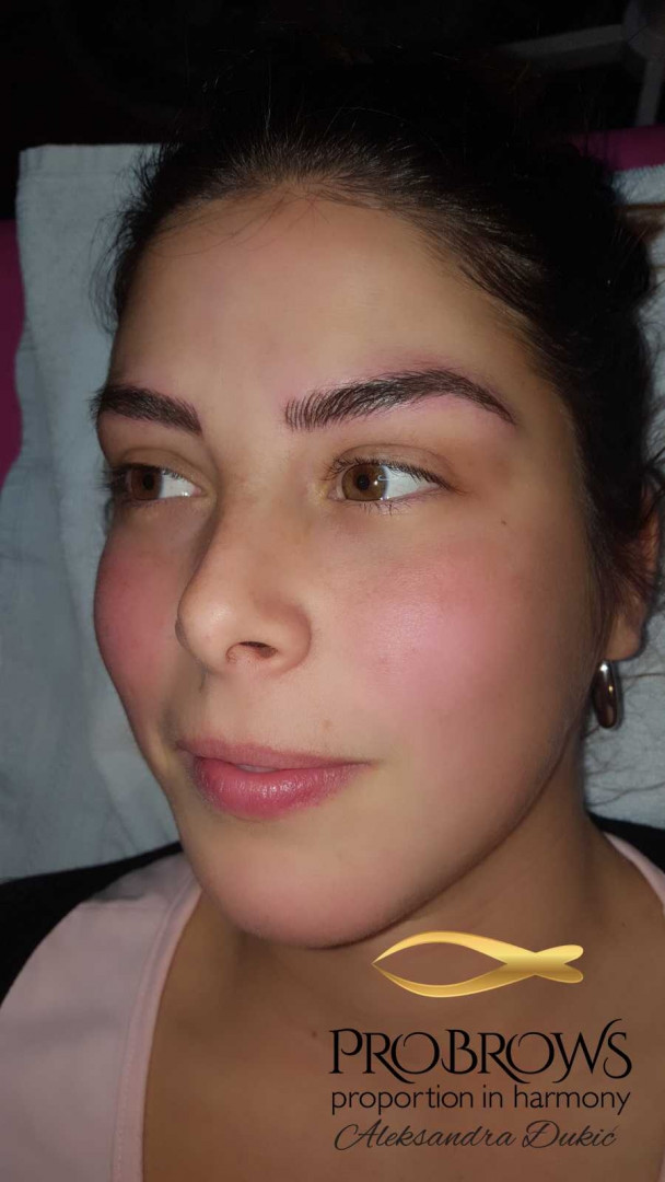 Beauty Team #novisad Obrve