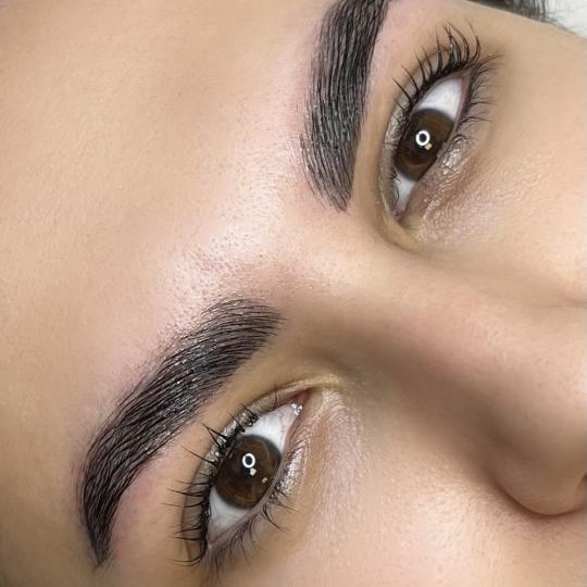 Artist Alex Studio #nis Obrve Lash + brow lift sa farbanjem obrva