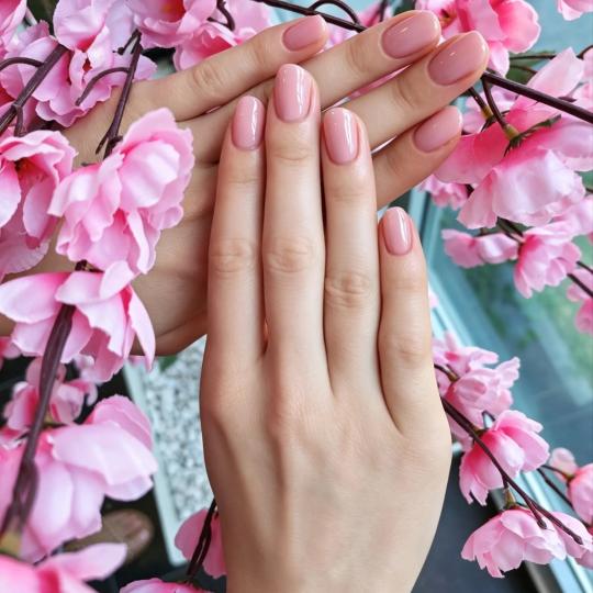 Nastja beauty studio #beograd