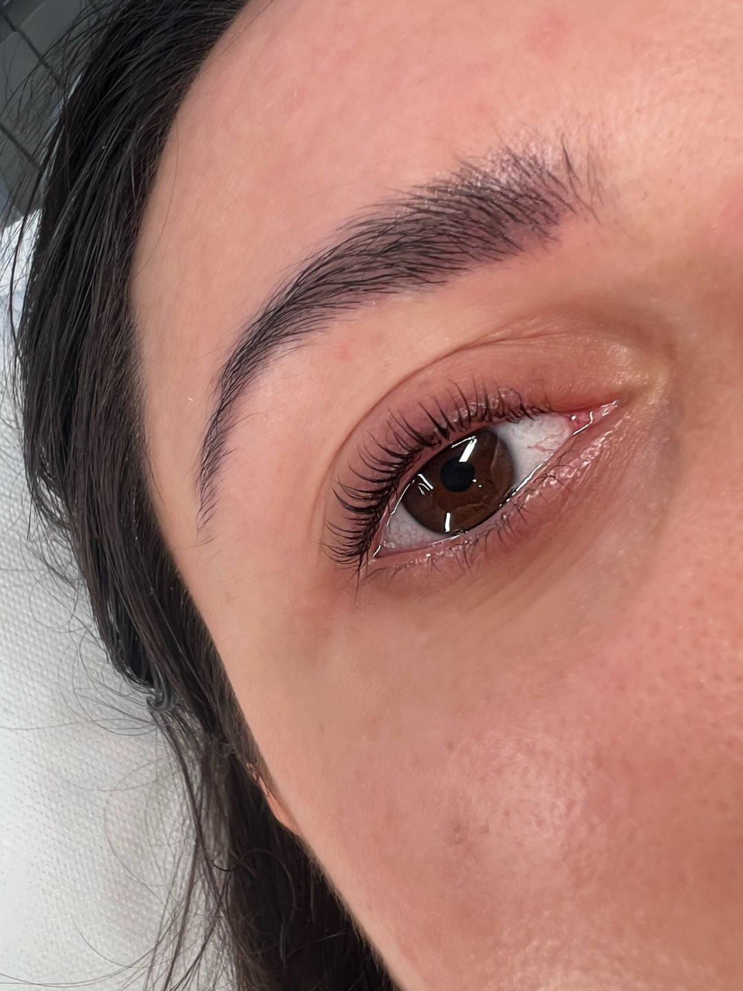 Alexandria Brow&Beauty lounge #beograd Trepavice Lash lift