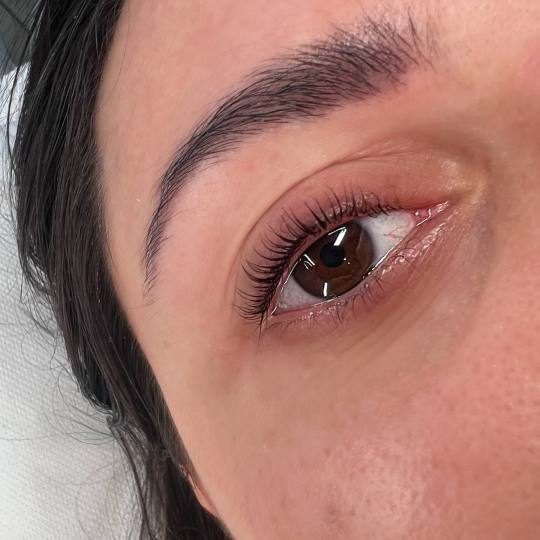 Alexandria Brow&Beauty lounge #beograd Trepavice Lash lift