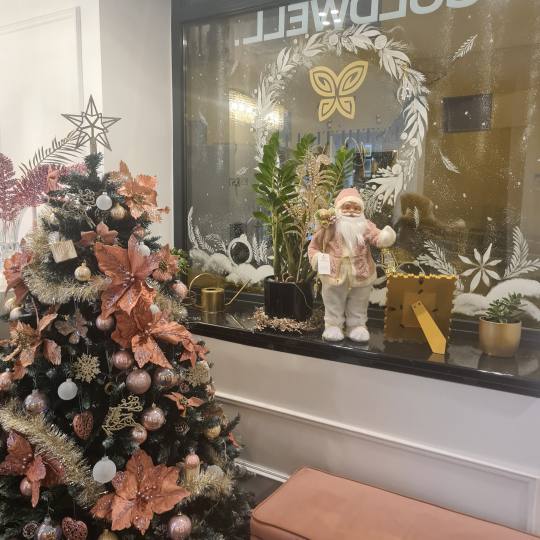 Esthetique Privé #beograd