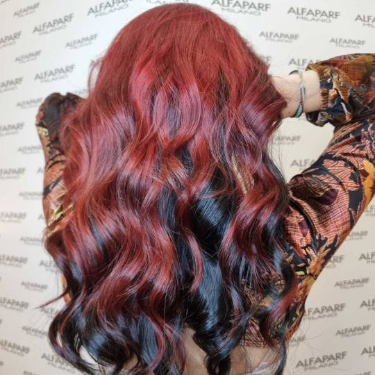 Alfaparf Studio Ada Mall #beograd Ombre, sombre, balayage Balayage / ombre / sombre + preliv - duga 