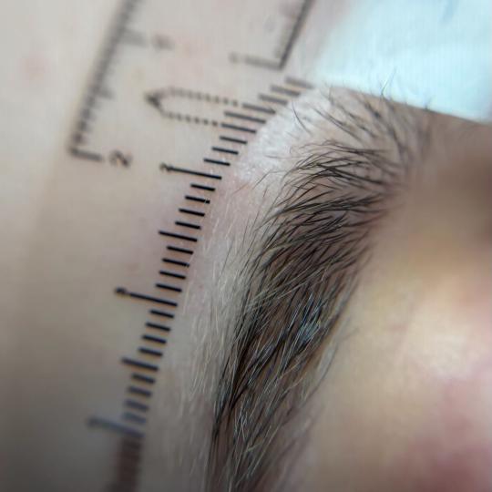 Alexandria Brow&Beauty lounge #beograd Obrve Oblikovanje i farbanje obrva