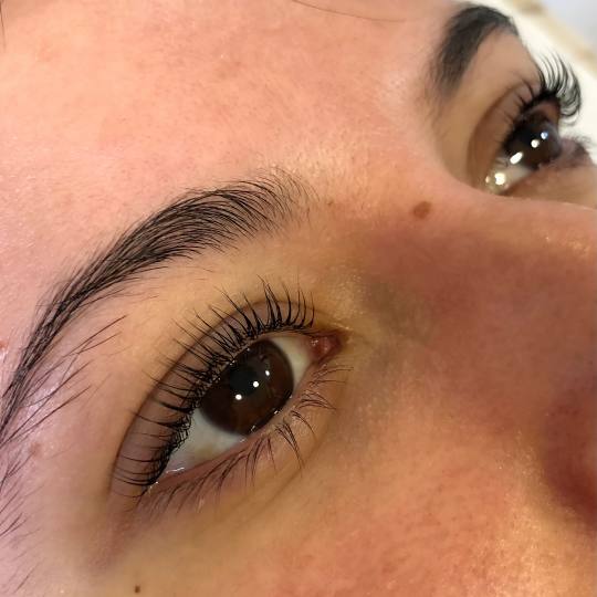 D&D Beauty Center #beograd Trepavice Lash lift