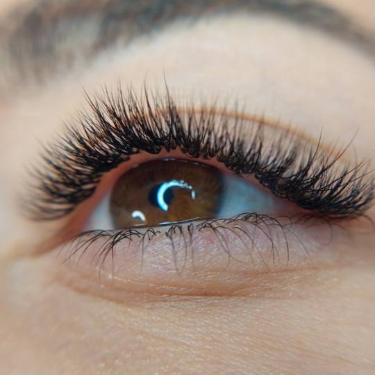 Brush and Lash #beograd