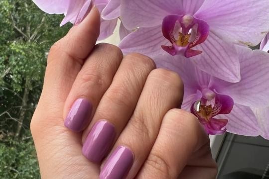 Salončić, Beograd LookBook