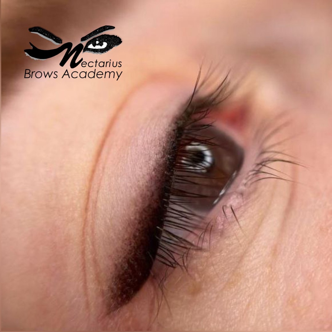 Nectarius Brows Academy #kragujevac Trajna šminka Trajna šminka kapaka + korekcija nakon mesec dana - senčeni eyeliner