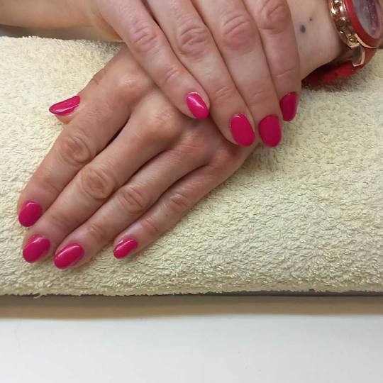 Studio Joksimović #beograd