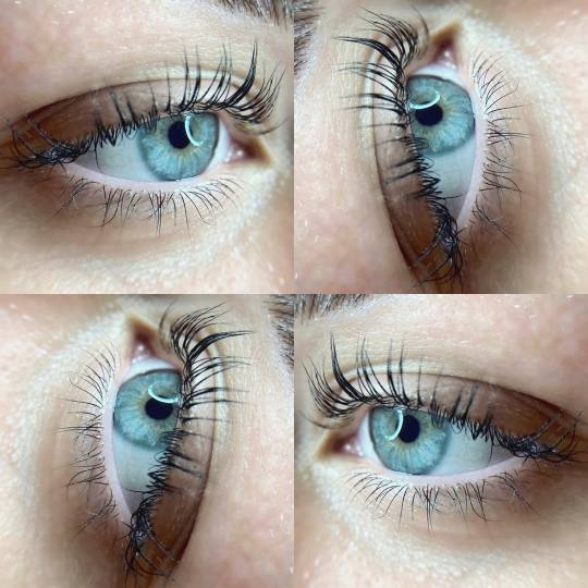 Elite Studio Piccolo #beograd Trepavice Lash lift + botox + farbanje