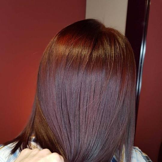 Alfaparf Studio #beograd Farbanje kose Farbanje cele dužine - duga kosa