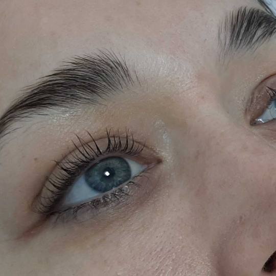 Felicita #beograd Trepavice Lash lift + brow lift (farbanje gratis)