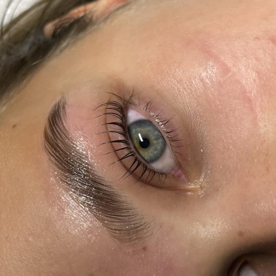 Mili Beauty Spot #novisad Brow lift / laminacija obrva Edukacija - lash lift + brow lift