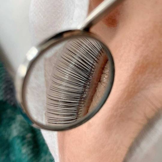 Right Beauty #beograd Trepavice Lash lift (bez farbanja)