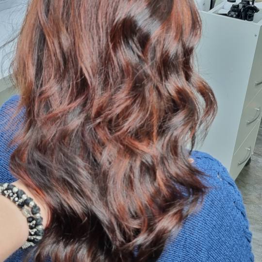 Royal Cut by Pro Cut #beograd Pramenovi Pramenovi na foliju - duga kosa Savrseno osvezenje za smedju