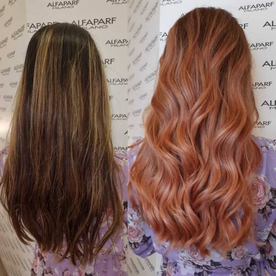 Alfaparf Studio Ada Mall #beograd Ombre, sombre, balayage Balayage / ombre / sombre + preliv - ekstr