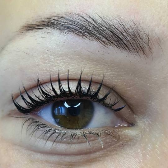 SunBox #beograd Trepavice Lash lift