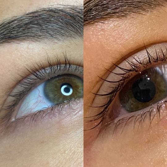 Prestige #beograd Trepavice Lash lift + farbanje trepavica Lash liftom dibijate podignutije trepavic