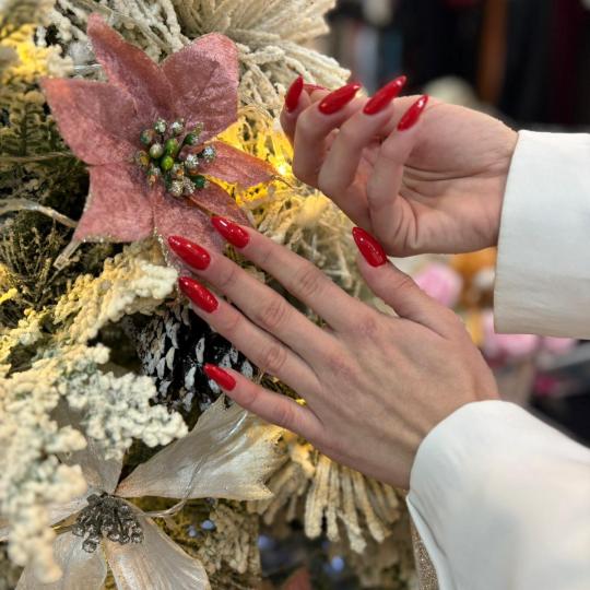 Beauty Studio S #beograd