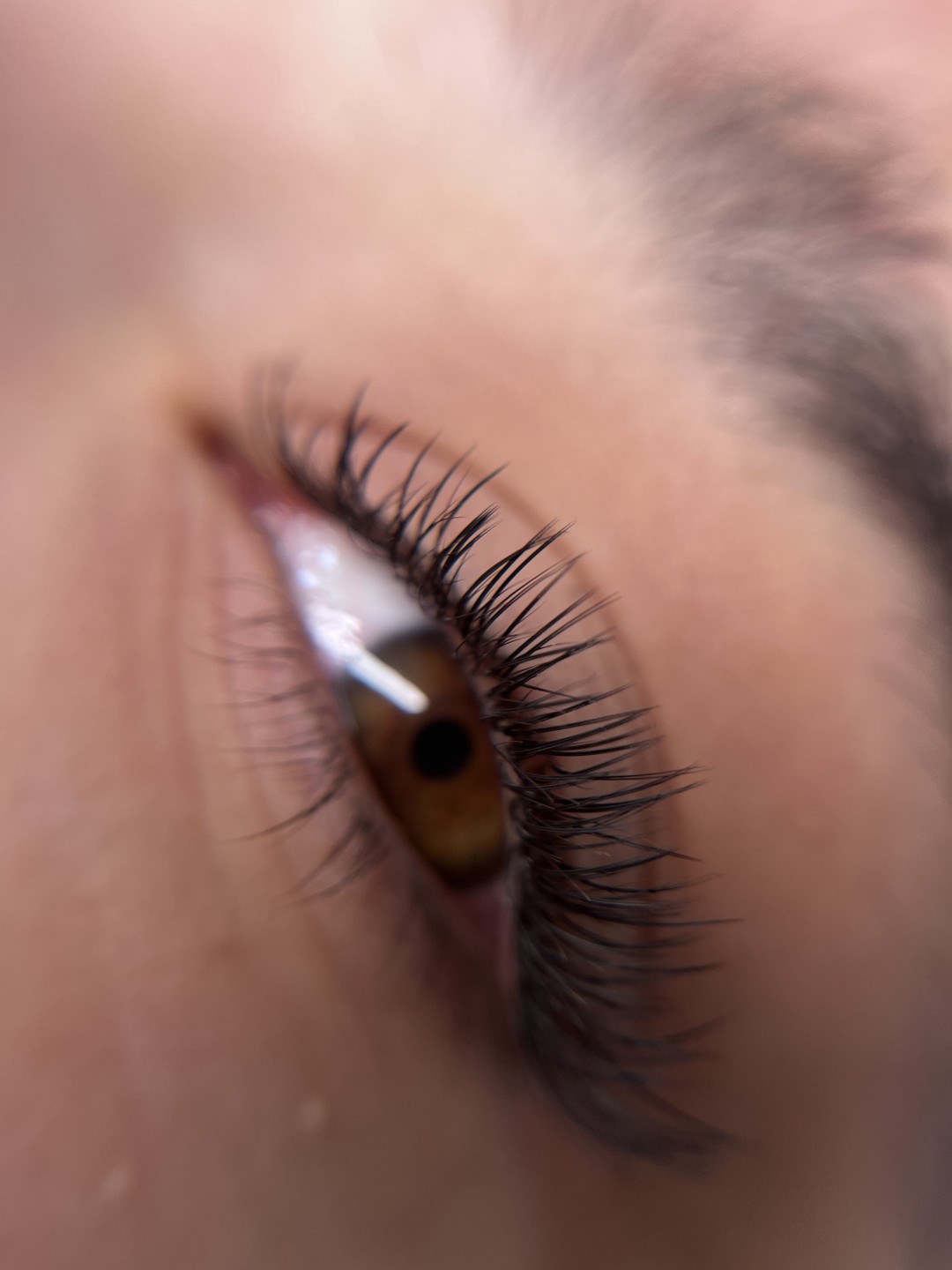 Jo Lash Academy #novisad Air brush potamnjivanje kože Classic set trepavica