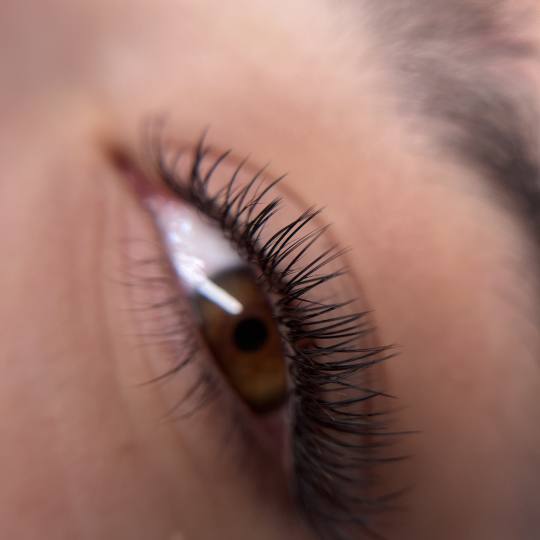 Jo Lash Academy usluga