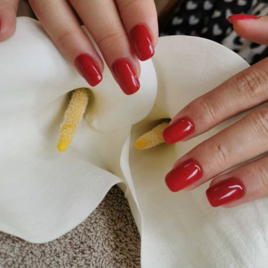 D&D Beauty Center #beograd Ojačavanje noktiju Ojačavanje prirodnih noktiju