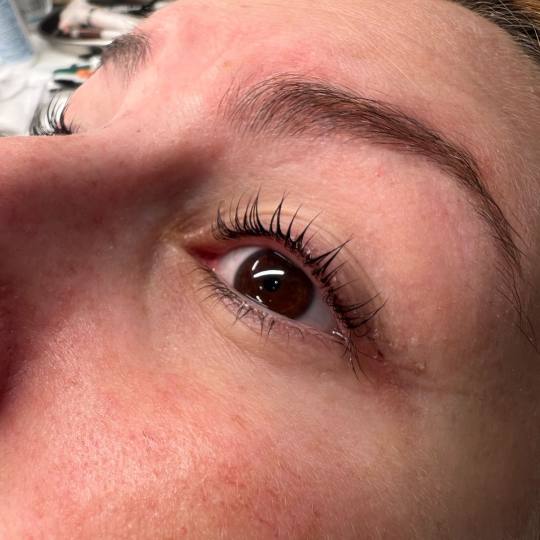 Alexandria Brow&Beauty lounge #beograd Trepavice Lash lift