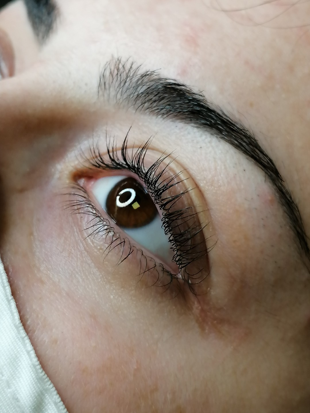 Lash lift - Beauty Studio Asja 2, Novi Sad Trepavice Lice Trepavice, Novi Sad, Rotkvarija, Podbara, Salajka