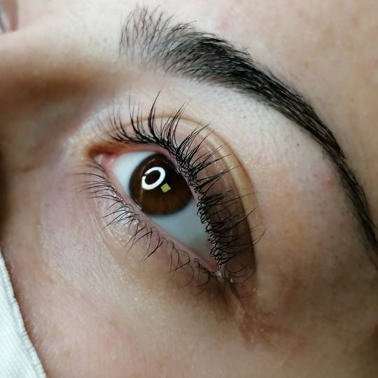 Beauty Studio Asja 2 #novisad Trepavice Lash lift